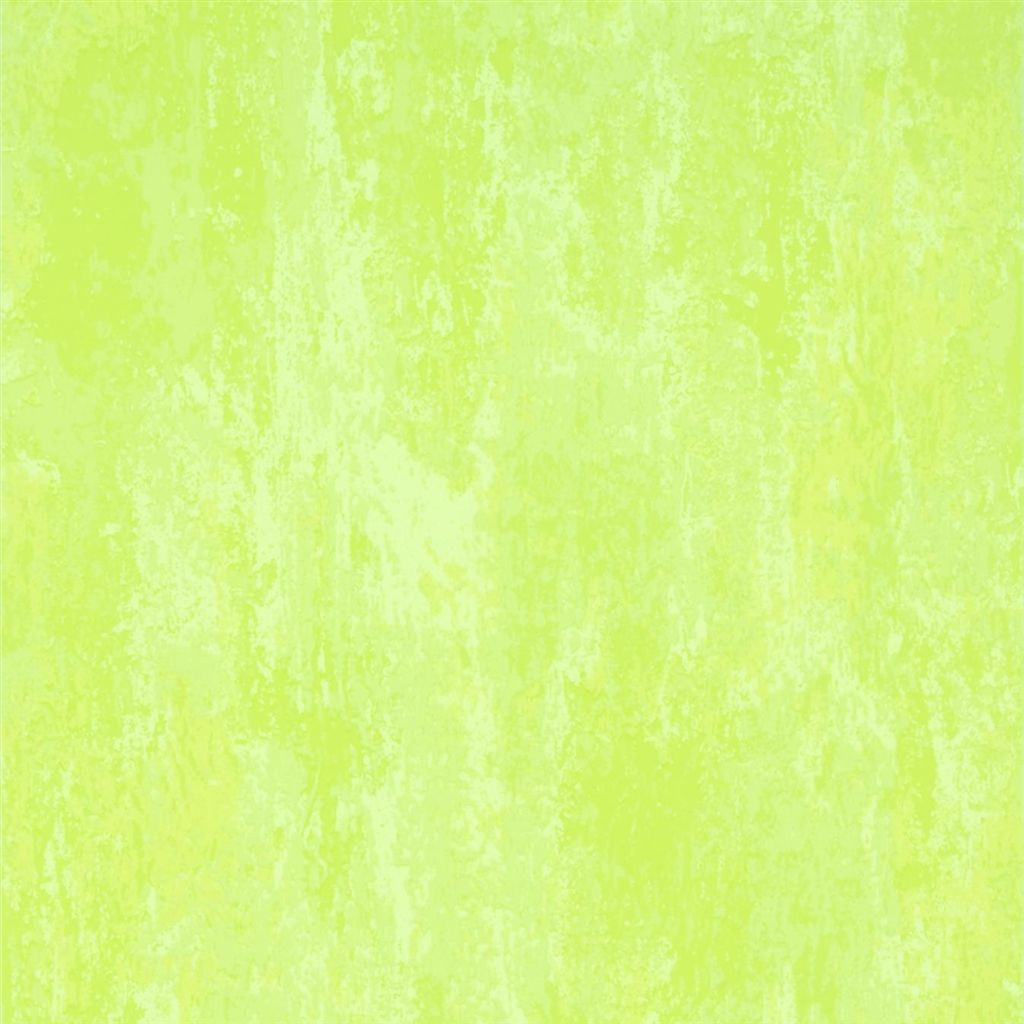 Ajanta P555-13 Moss