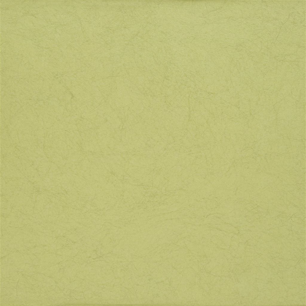 Ernani Chartreuse P502-53