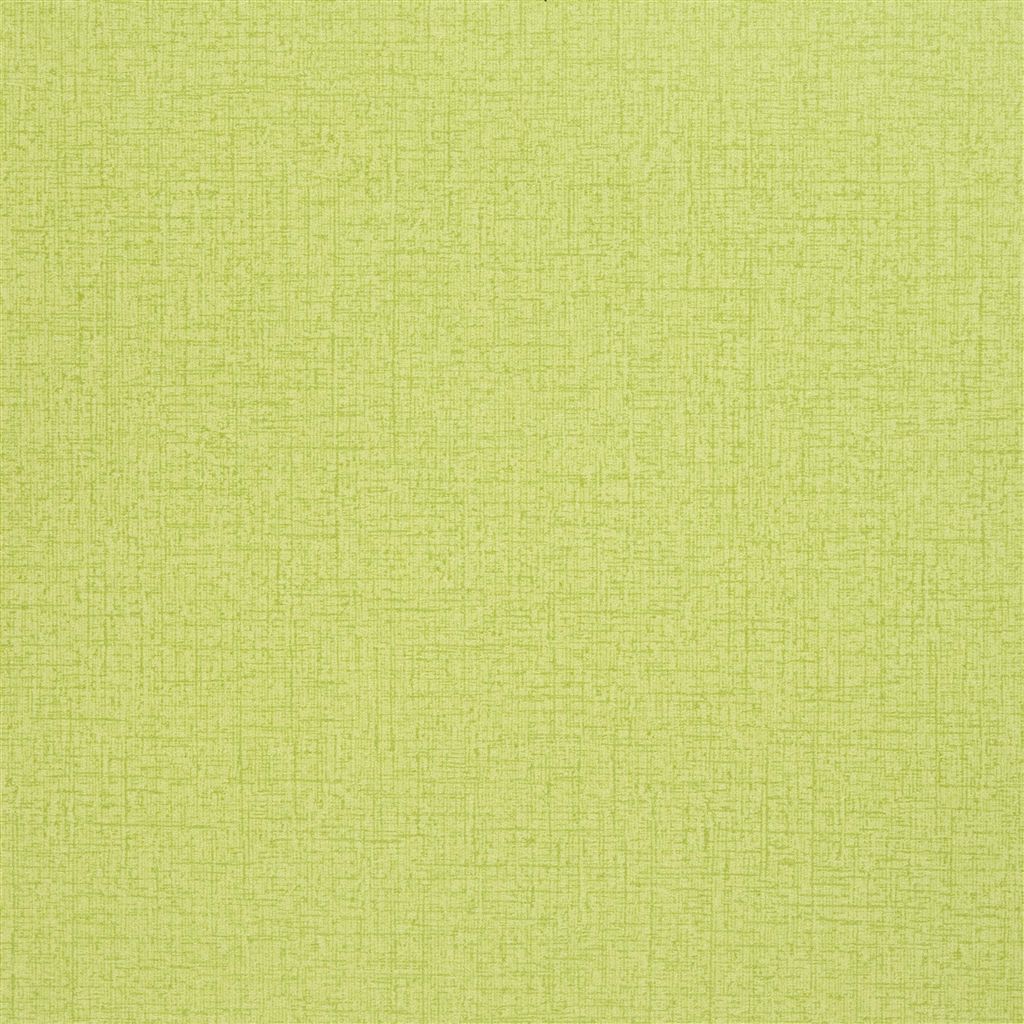 Tsuga P515-19 Acacia