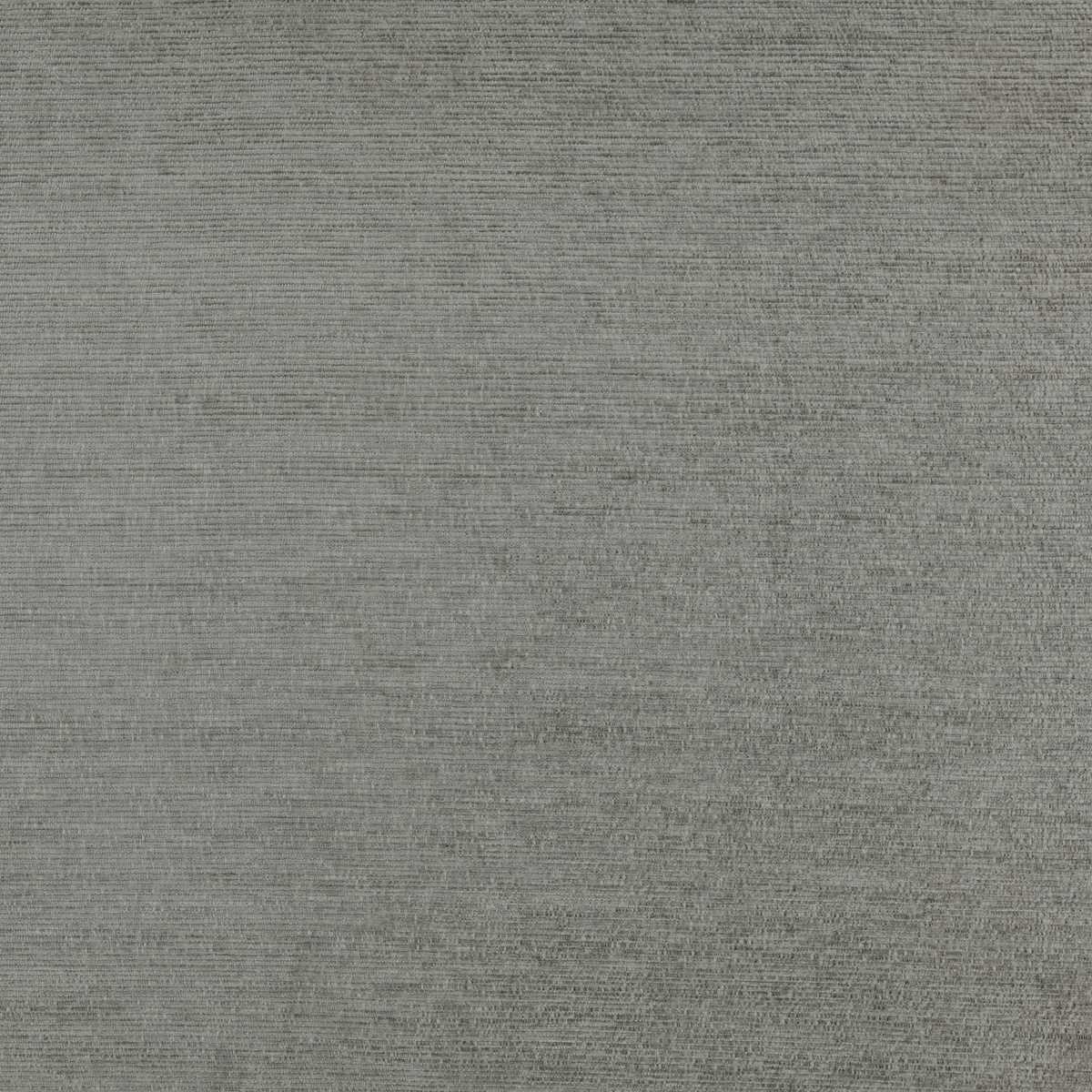 Augusta Grey