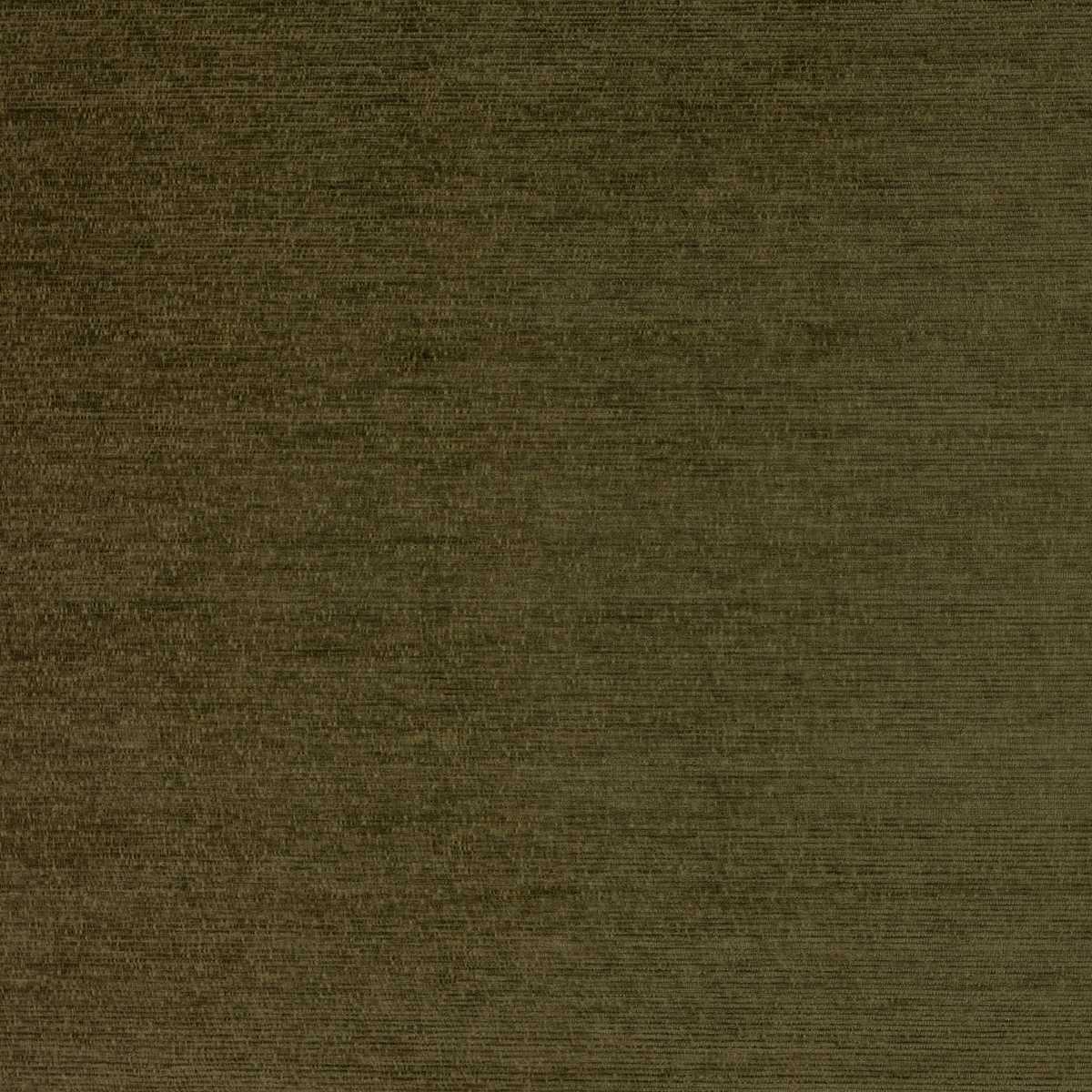 Augusta Olive