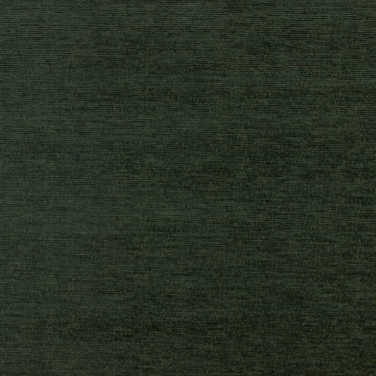 Augusta Pine