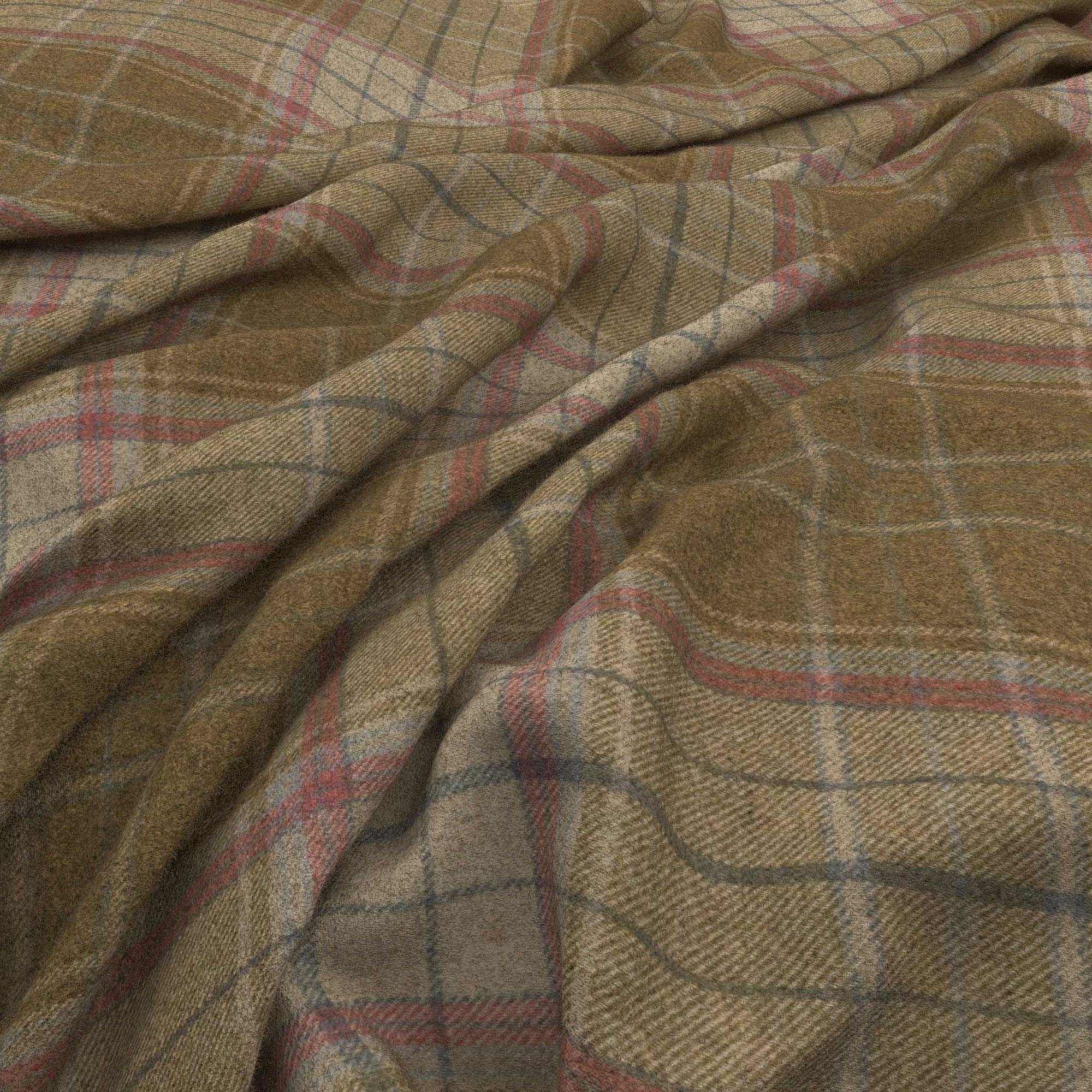 Bainbridge Olive