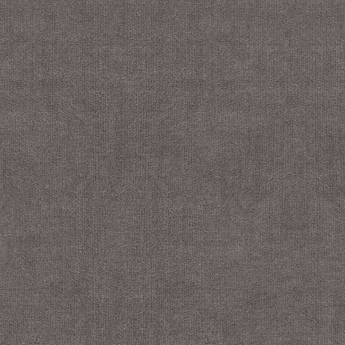 Bellwood Taupe