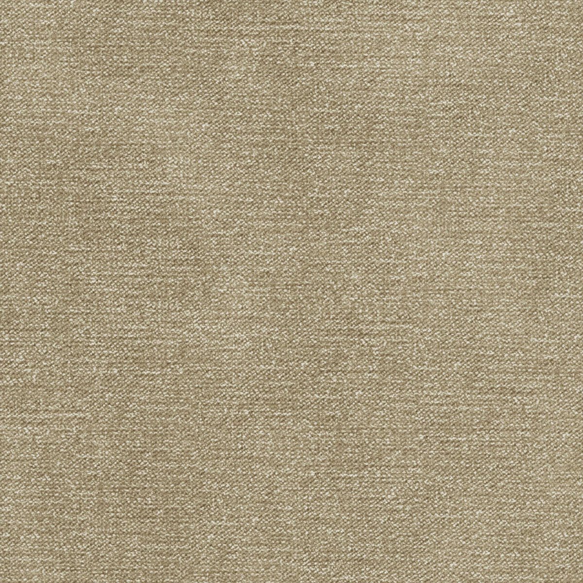 Beretta Dune