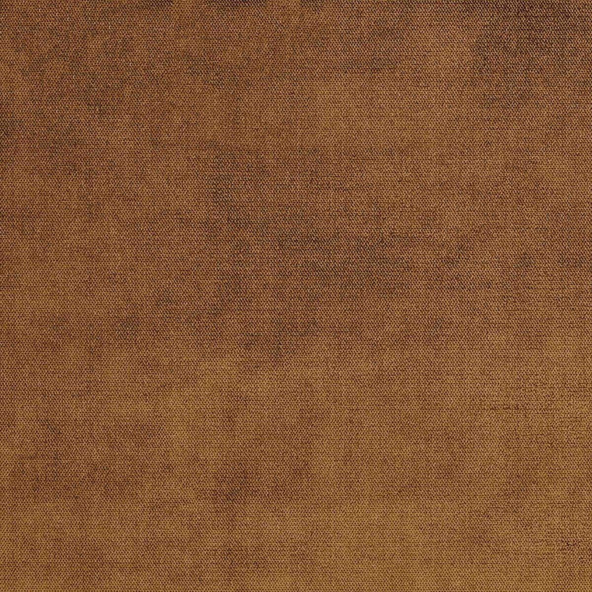 Botega Oldgold