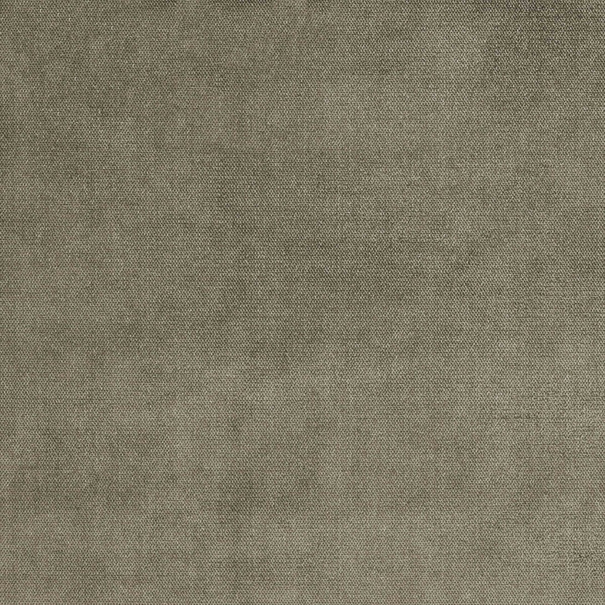 Botega Silk