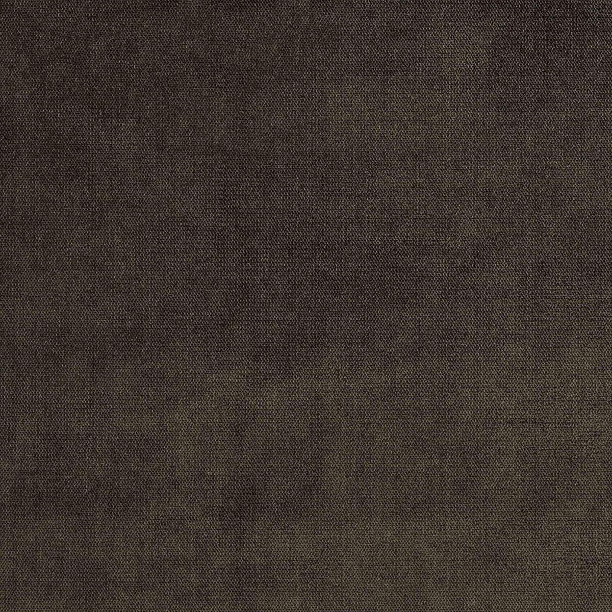 Botega Timber