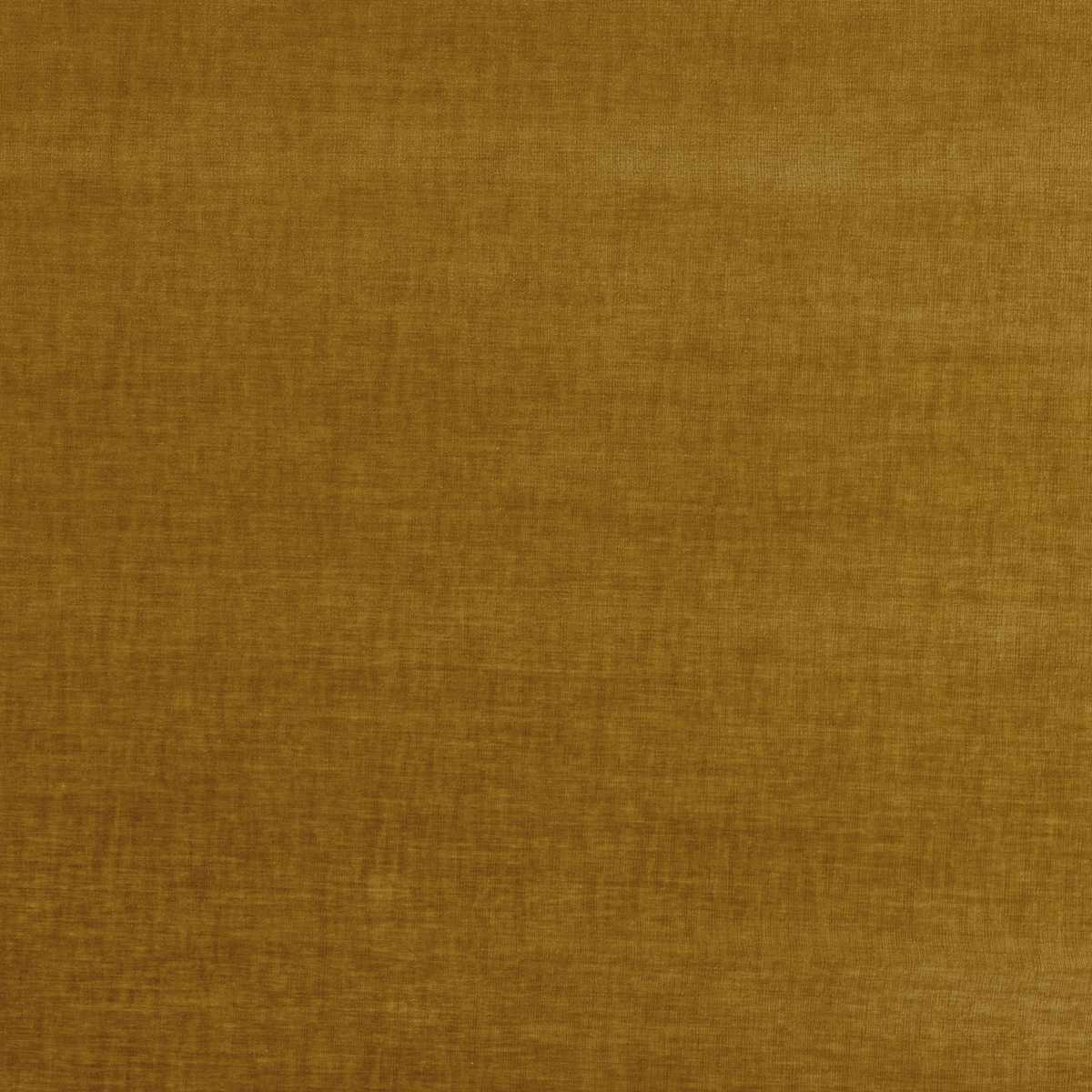 Brunswick Mustard