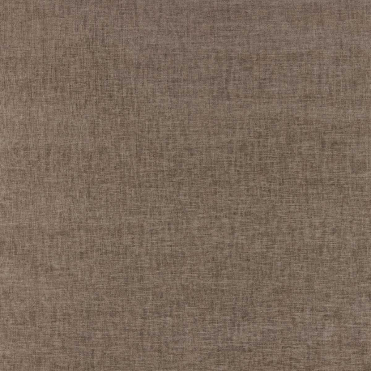 Brunswick Oat