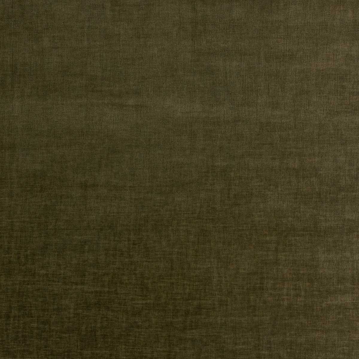 Brunswick Olive