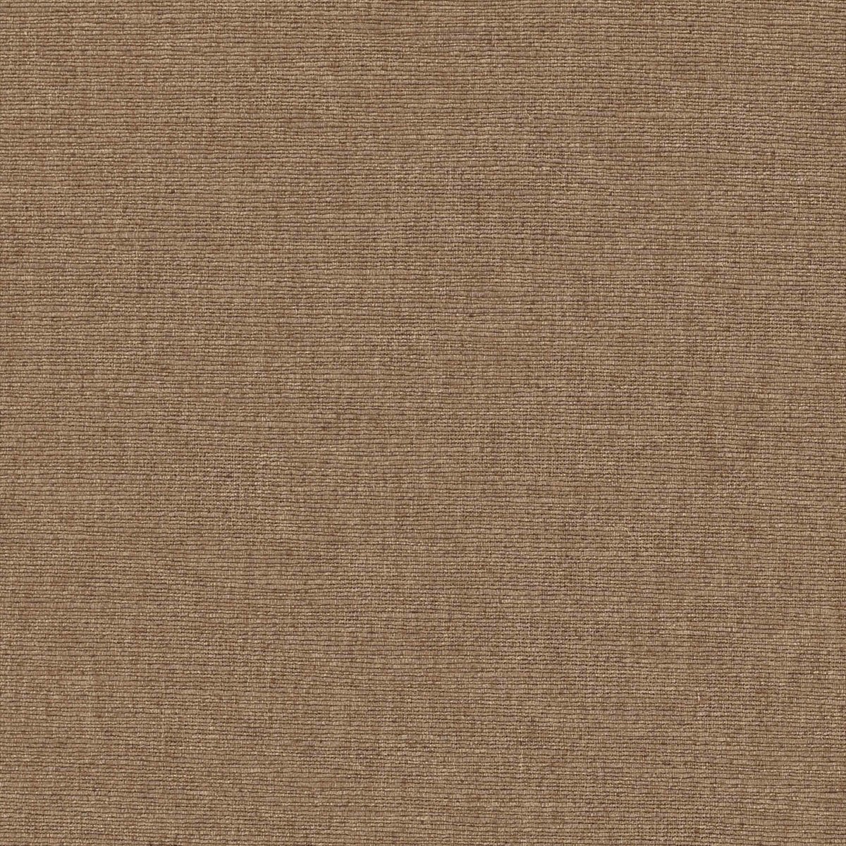 Cambridge Nutmeg
