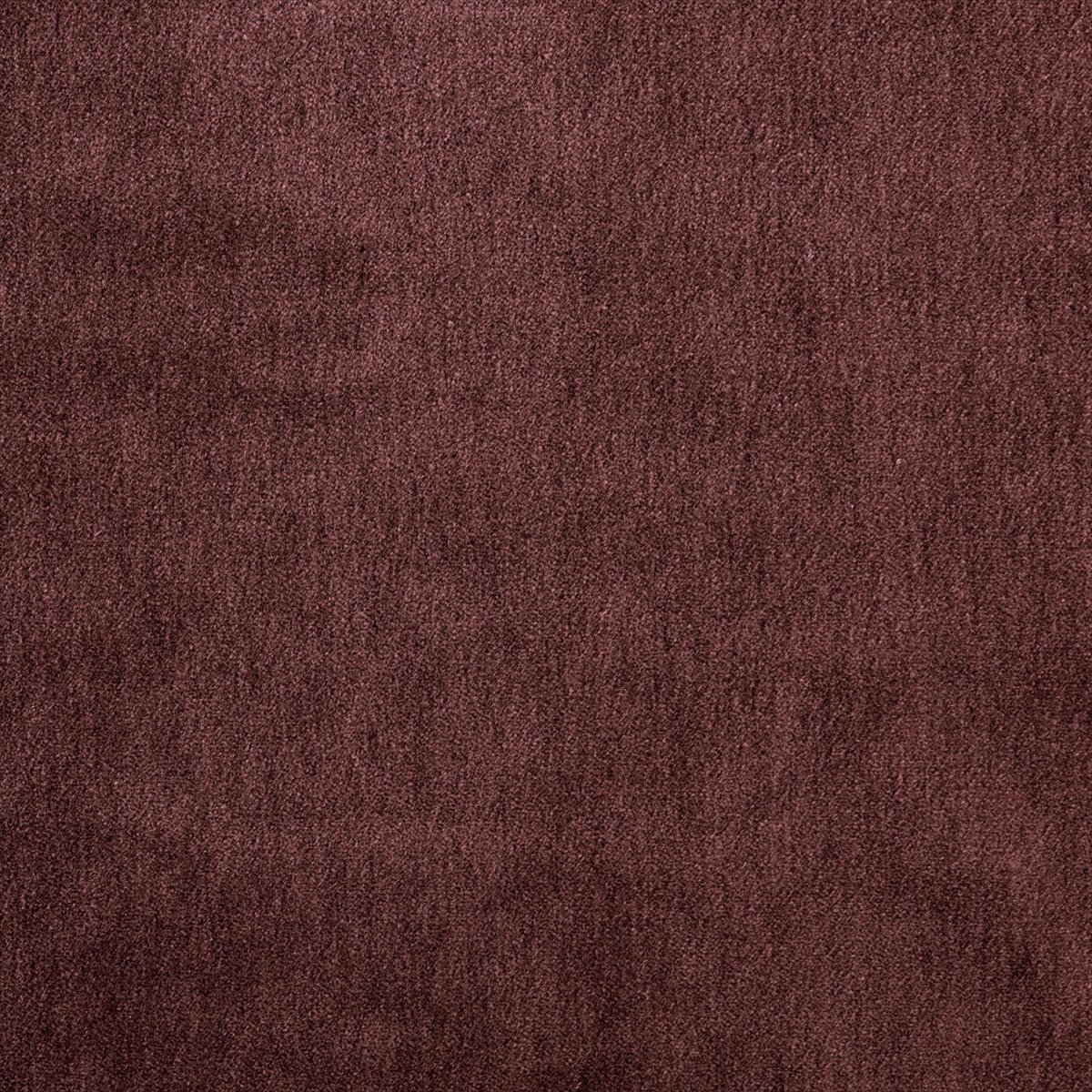 Cape-Mohair Beetroot