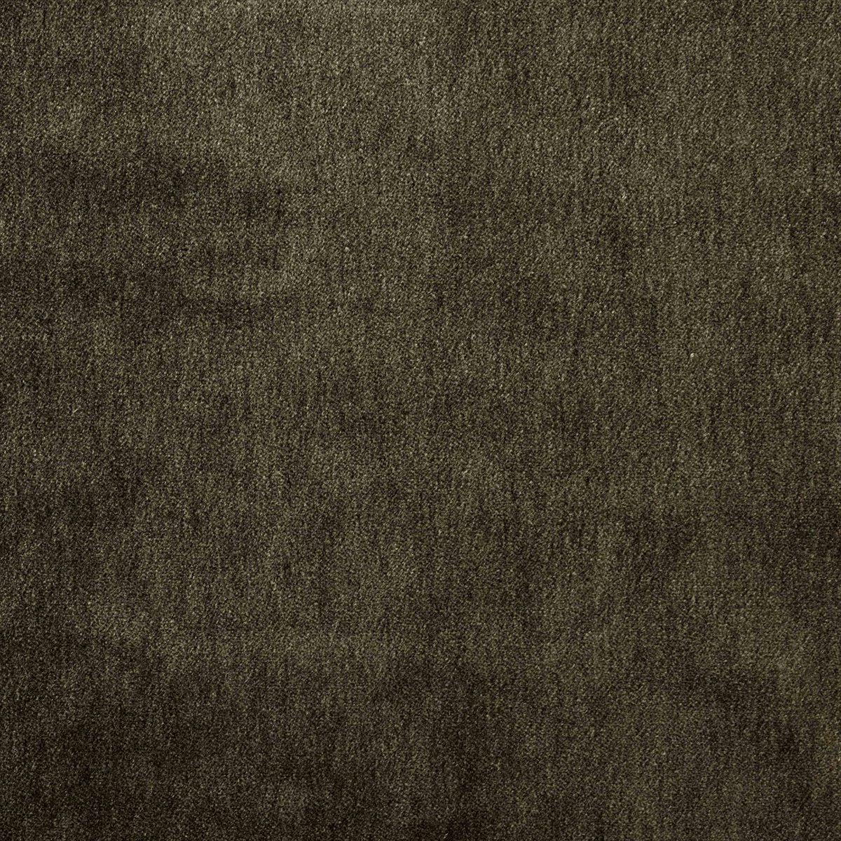 Cape-Mohair Fir