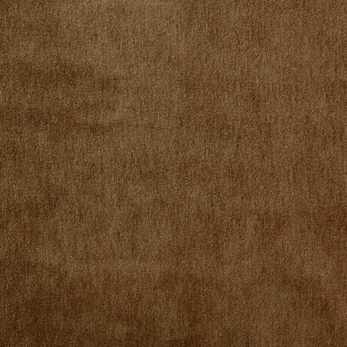 Cape-Mohair Gingerbread