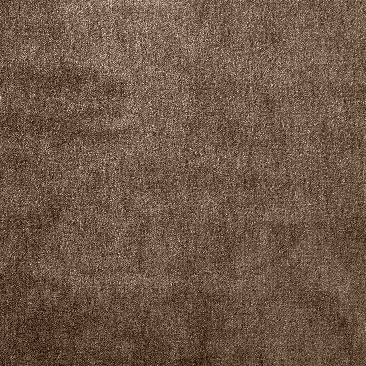Cape-Mohair Nutmeg