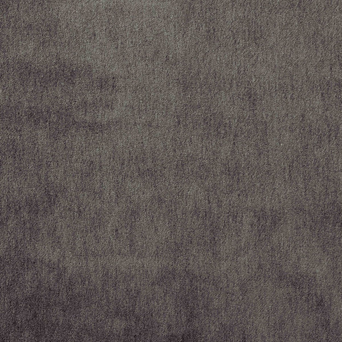 Cape-Mohair Tempest