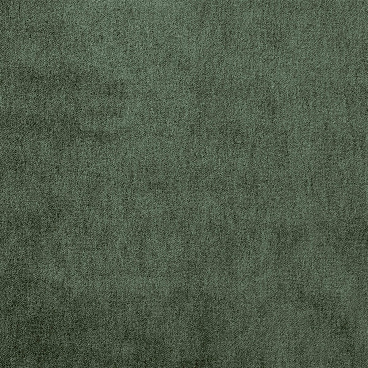 Cape-Mohair Thyme