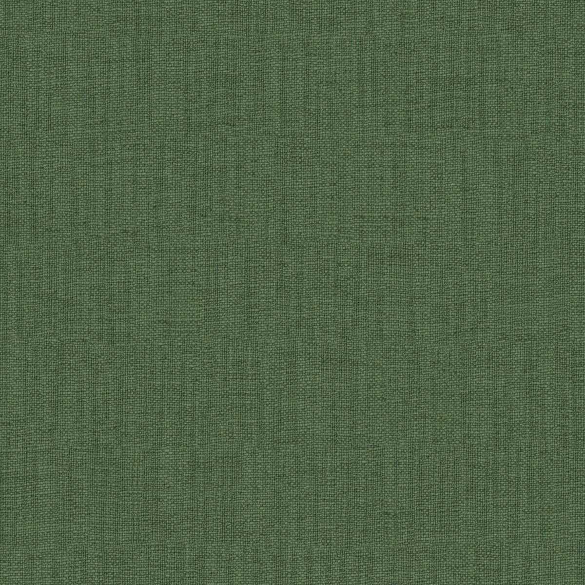 Casual Evergreen