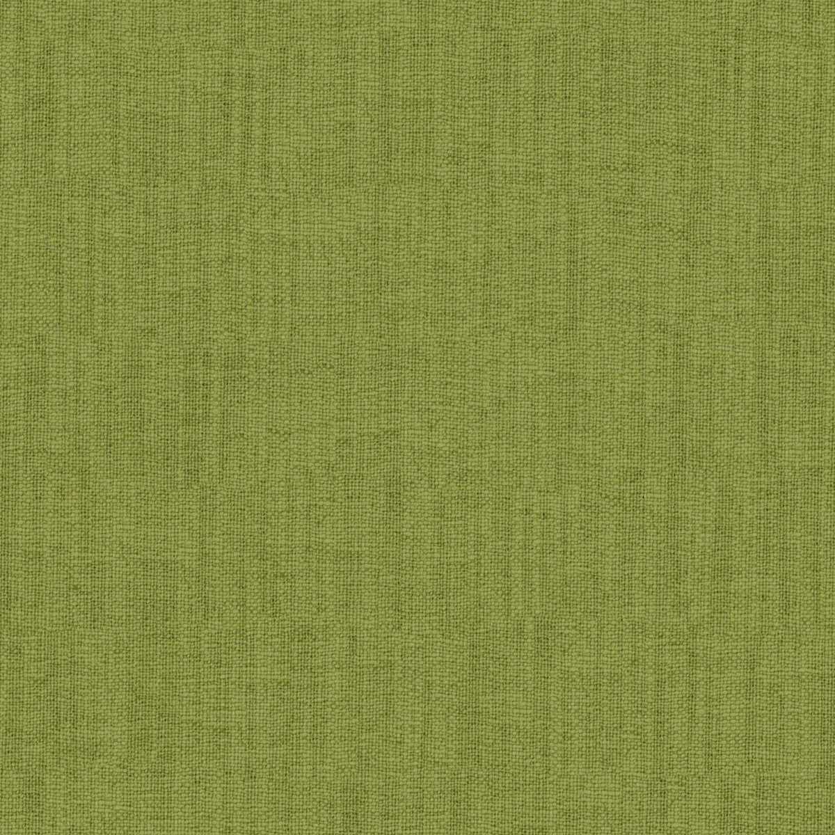 Casual Lawn