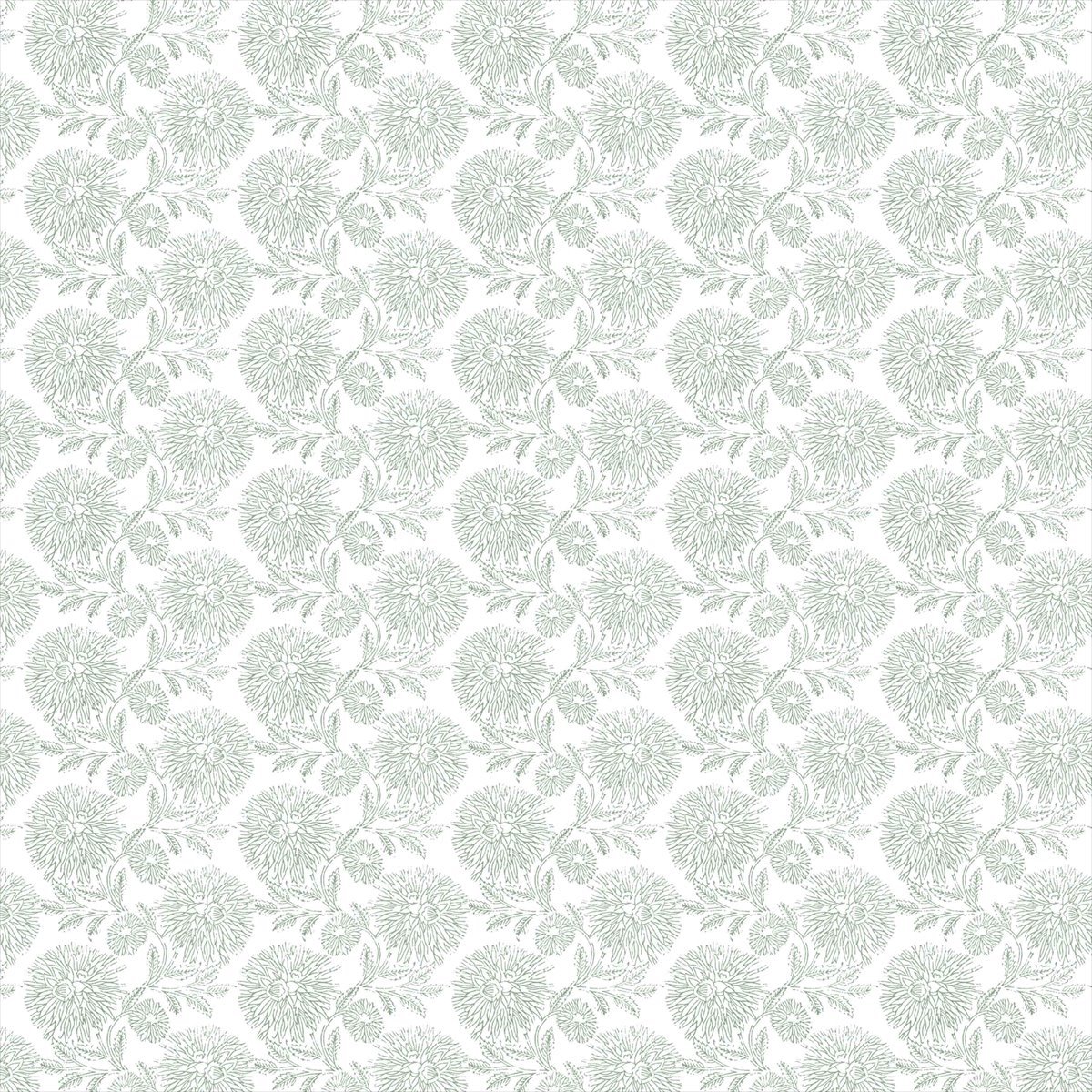 Delphine Celadon