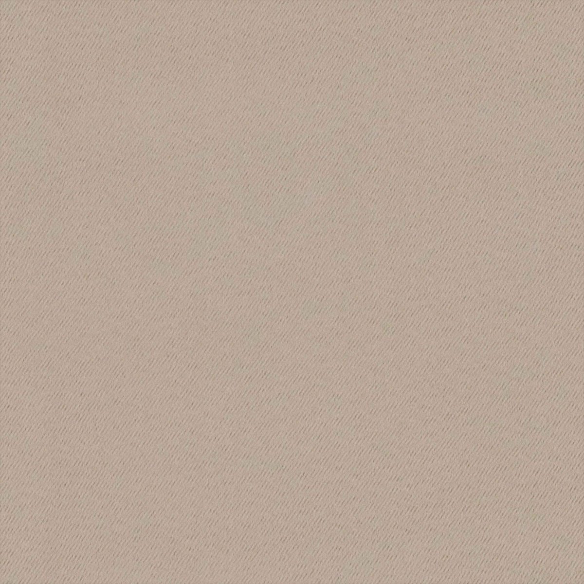 Eclipse-FR Cashew