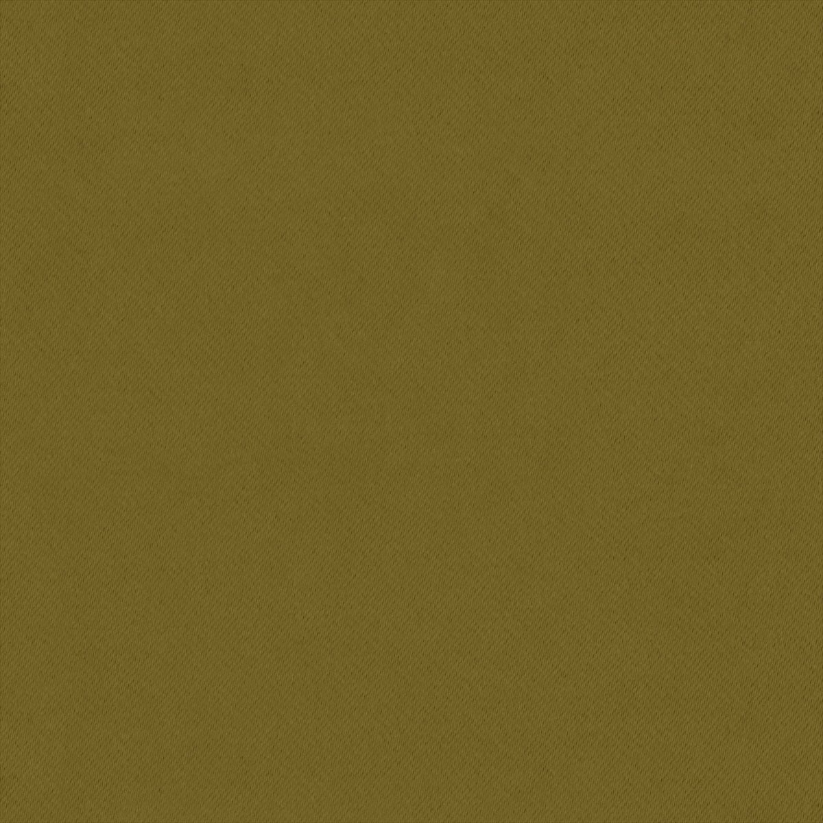 Eclipse-FR Olive