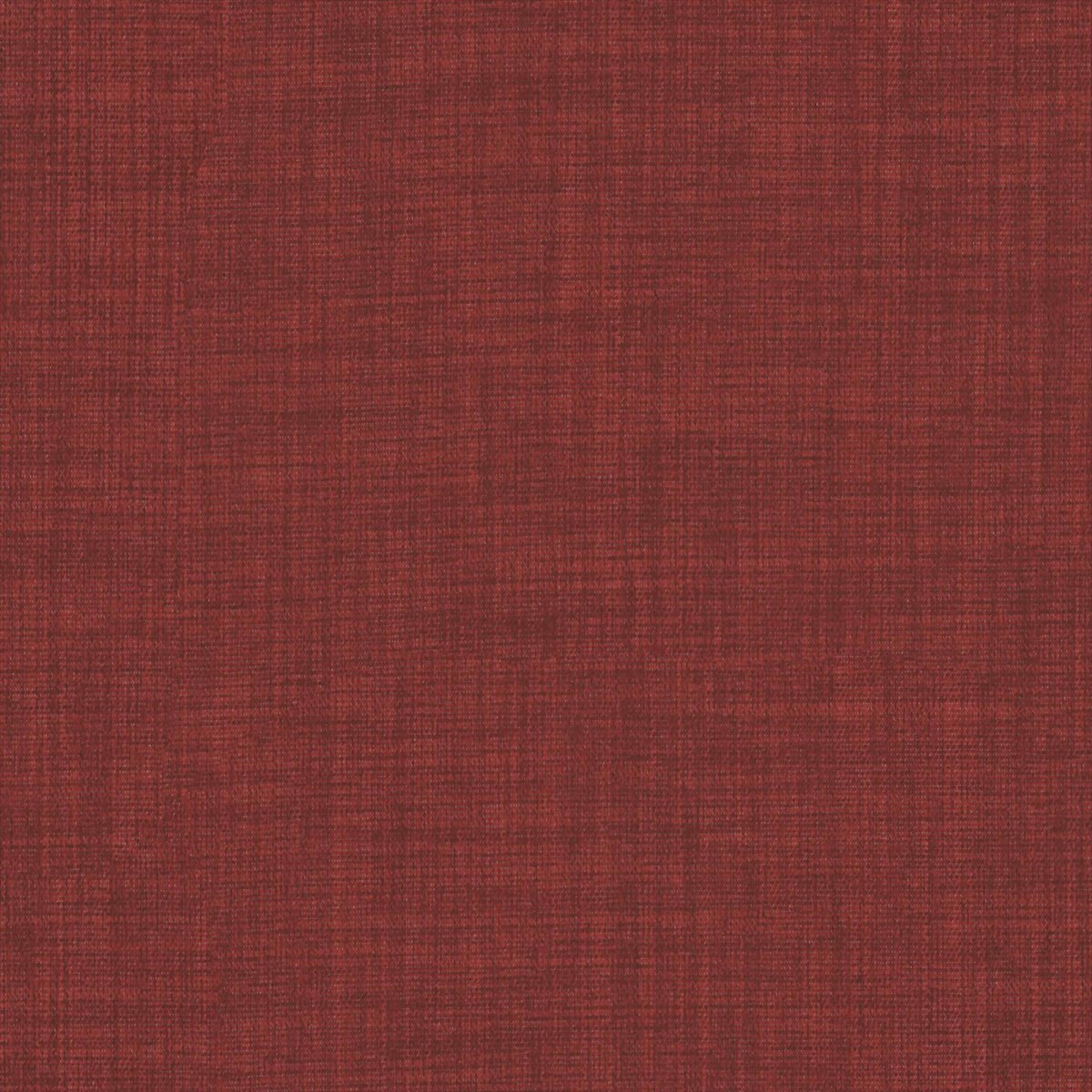 Fortywinks Boysenberry
