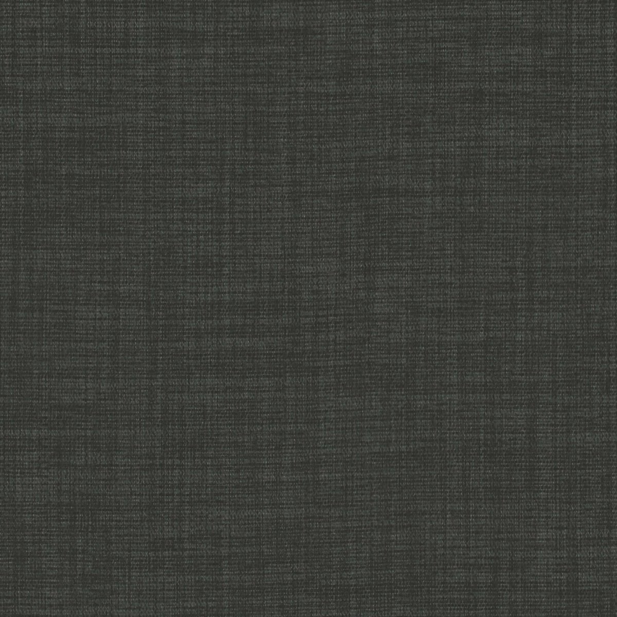 Fortywinks Coal