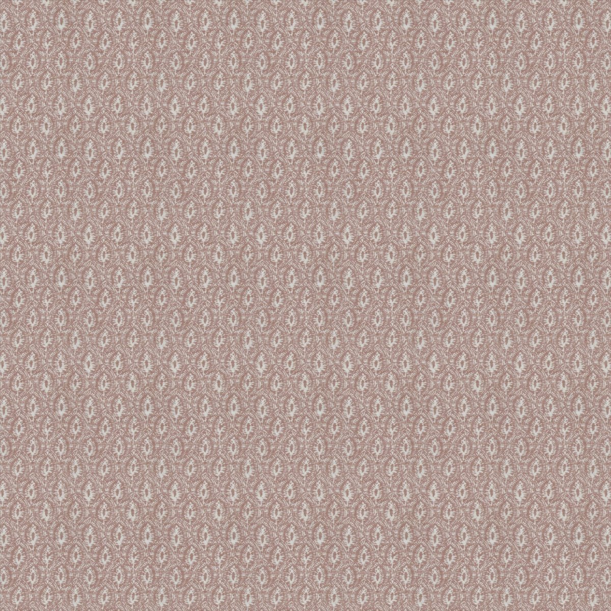Java Blush