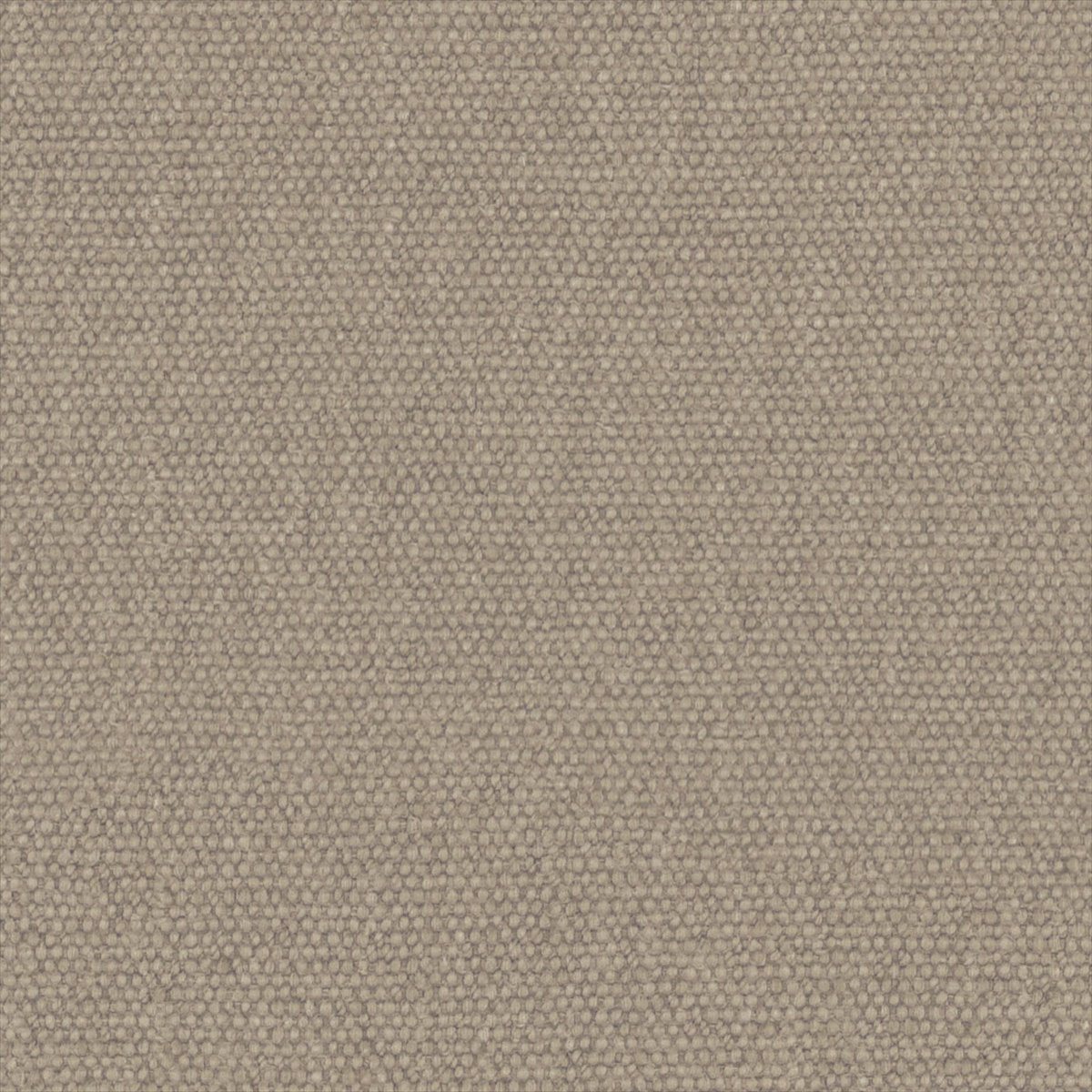 Jumbo Limewash