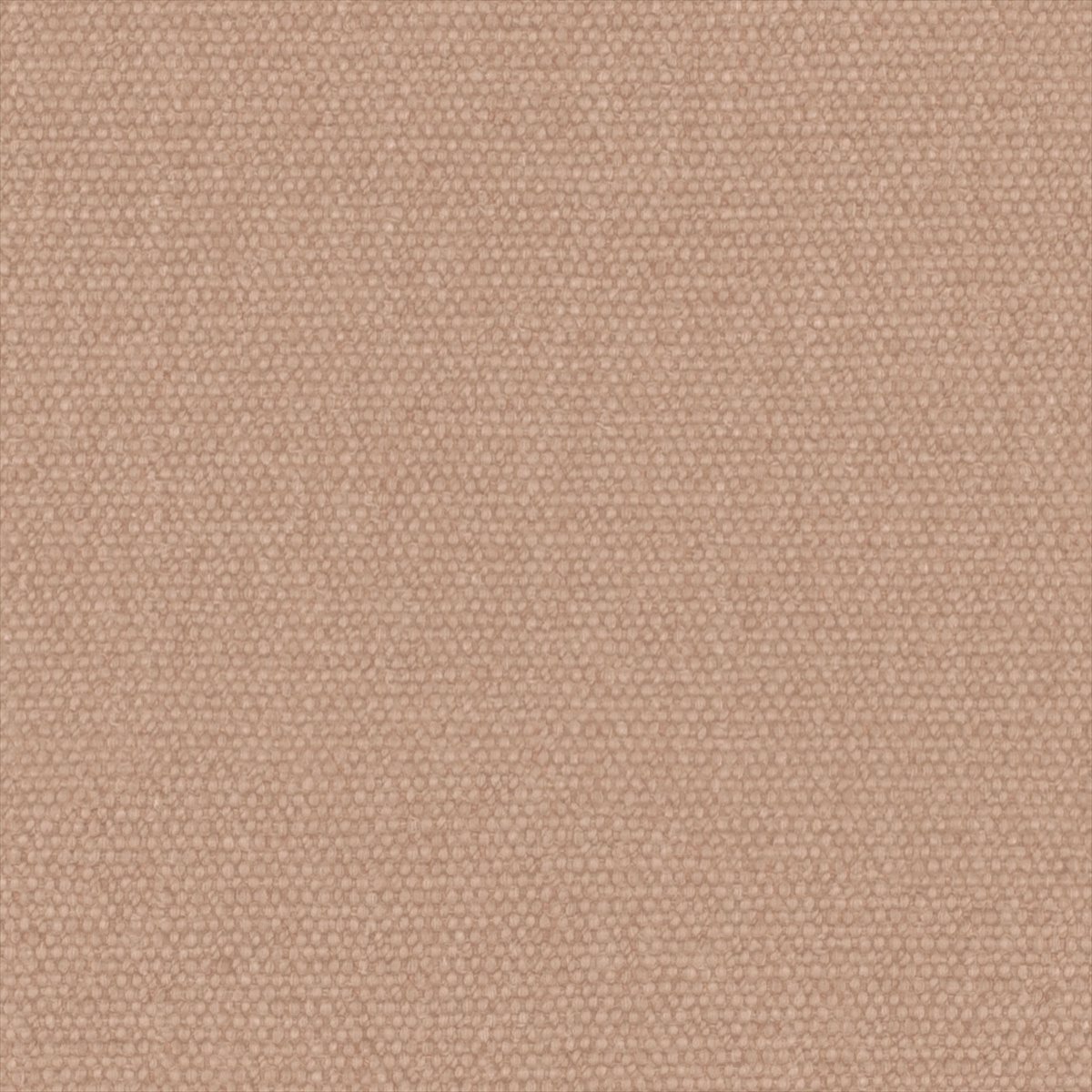 Jumbo Nude