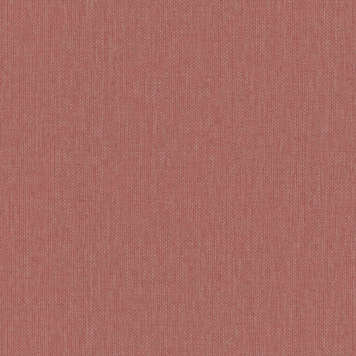 Linear Blush