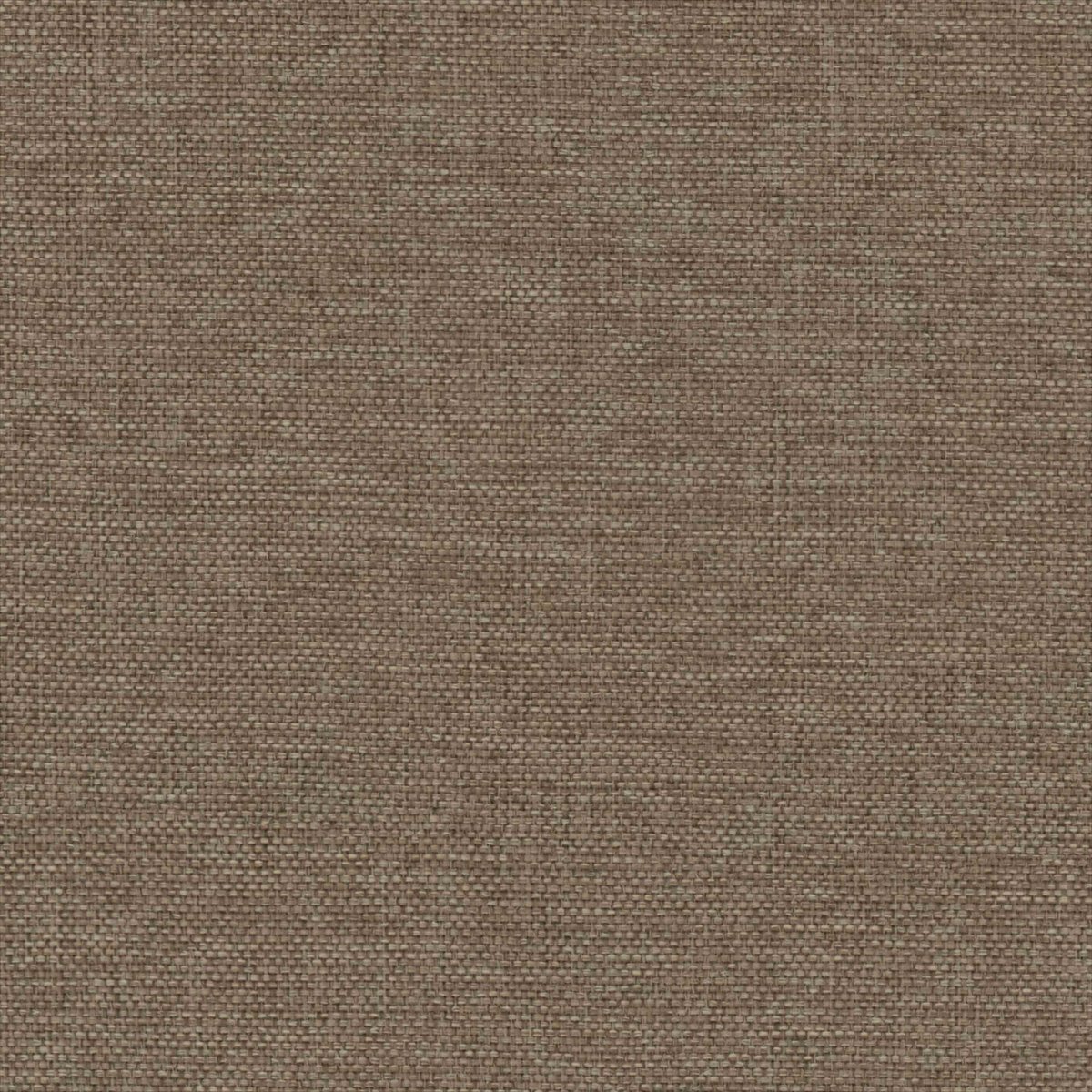 Linear Mocha