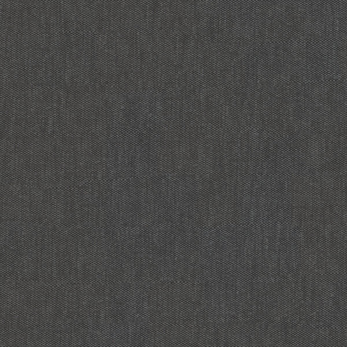 Loire Coal