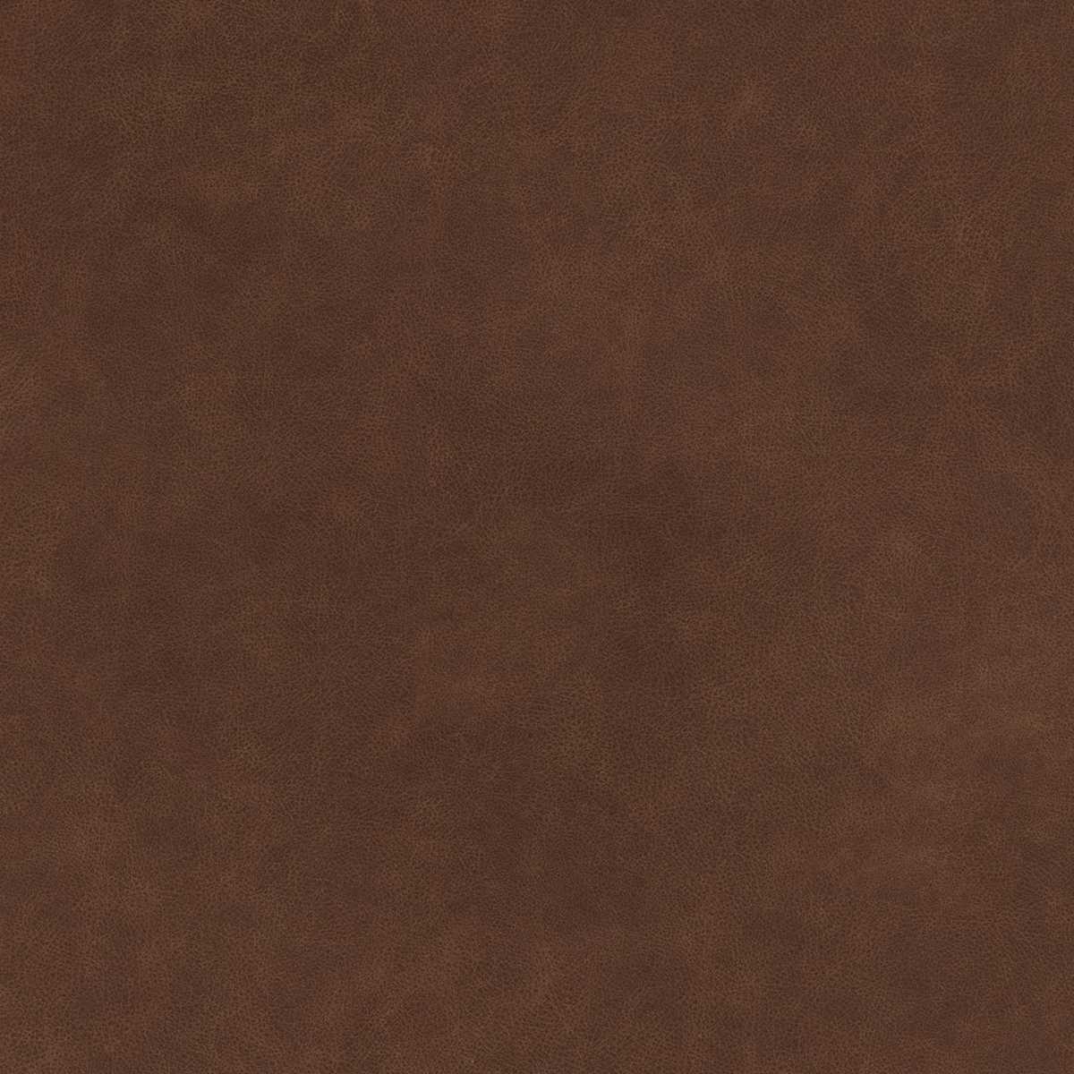 Magnum Cabernet