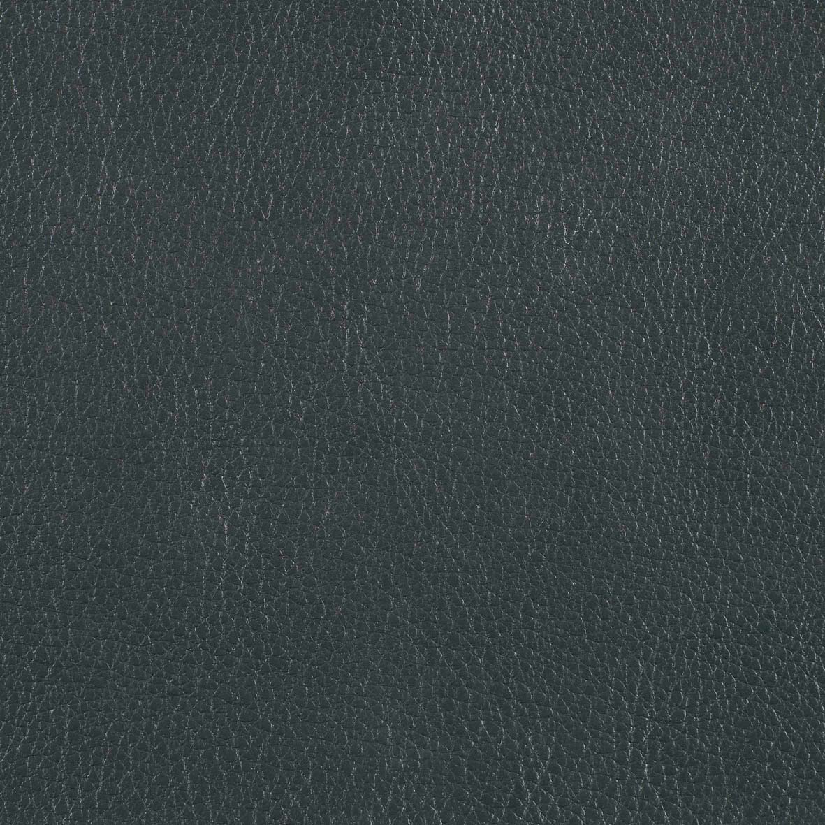 Marlborough Pine