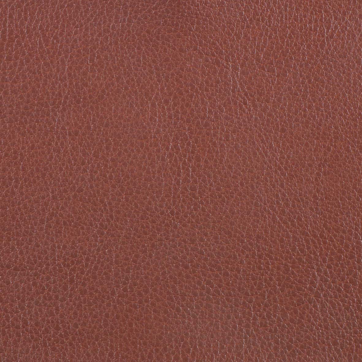 Marlborough Tan