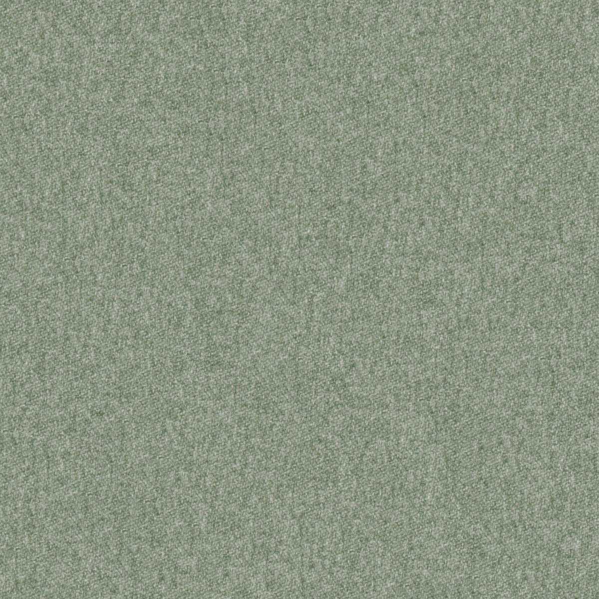 Melton Clover