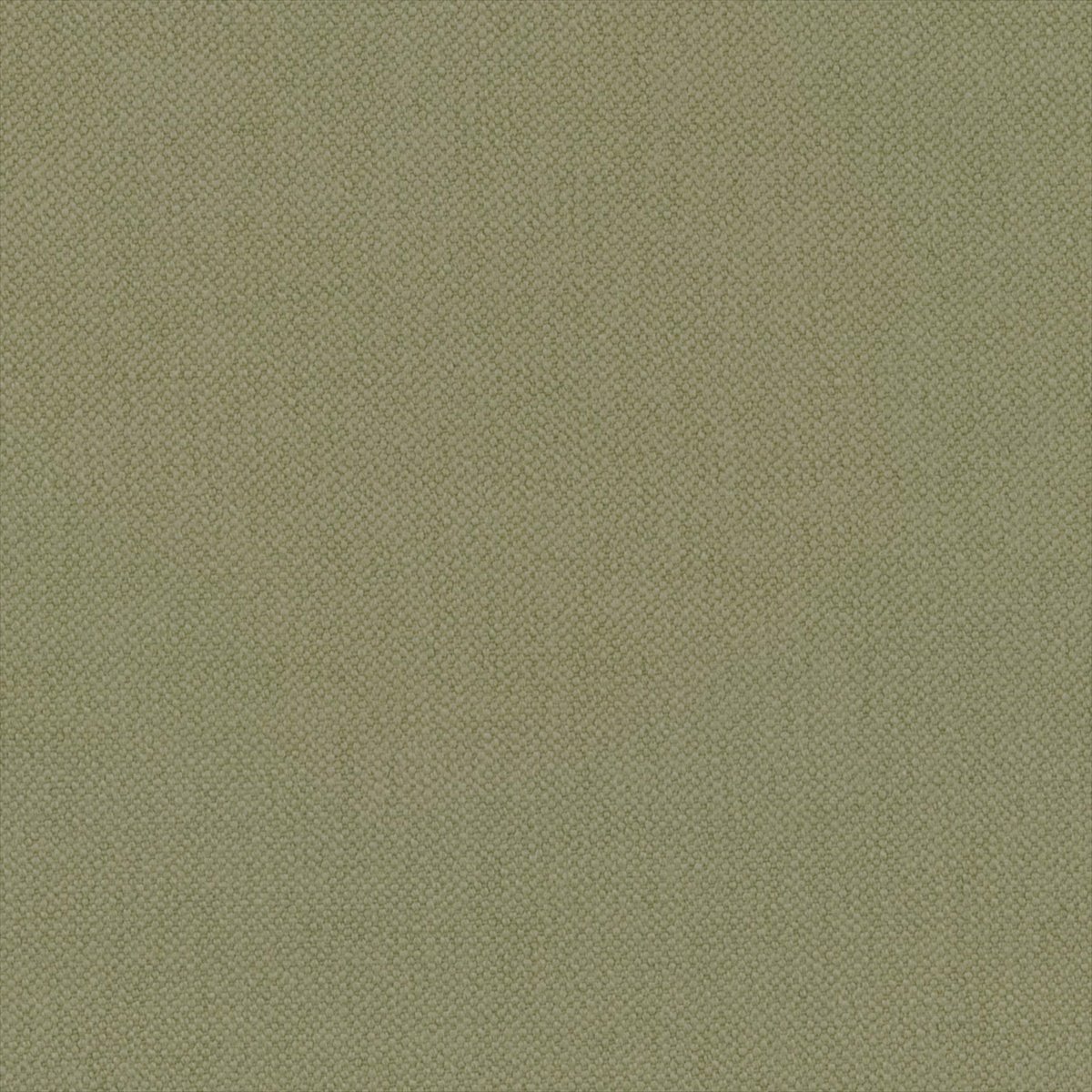 Oxford Celery