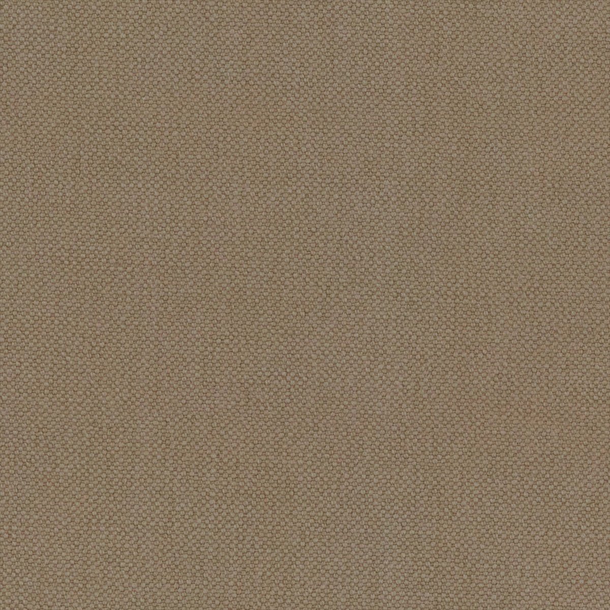 Oxford Chino