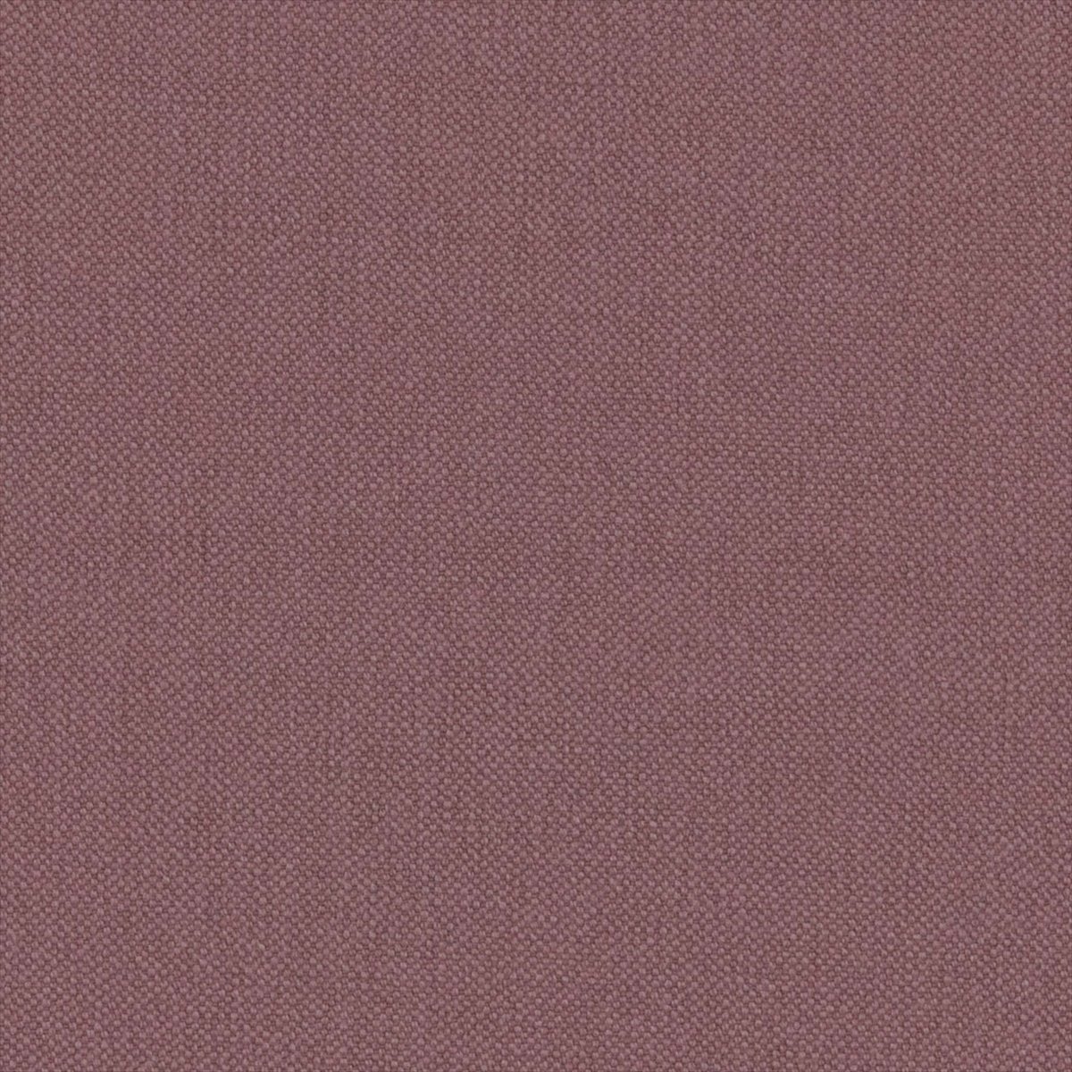 Oxford Hyacinth