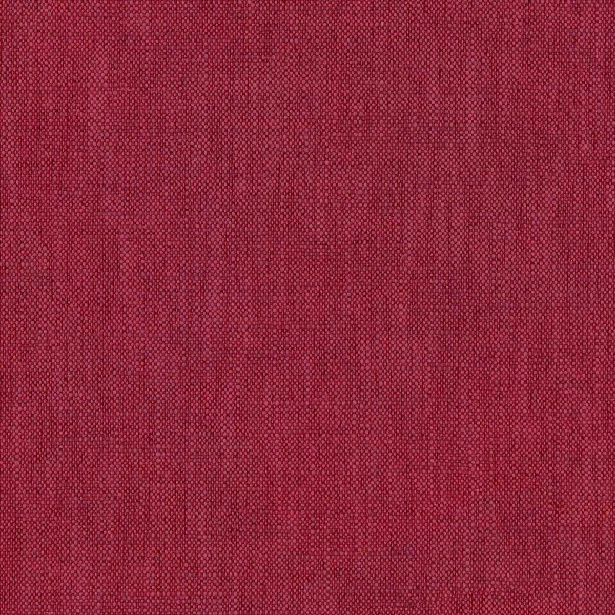 Parker Fuchsia