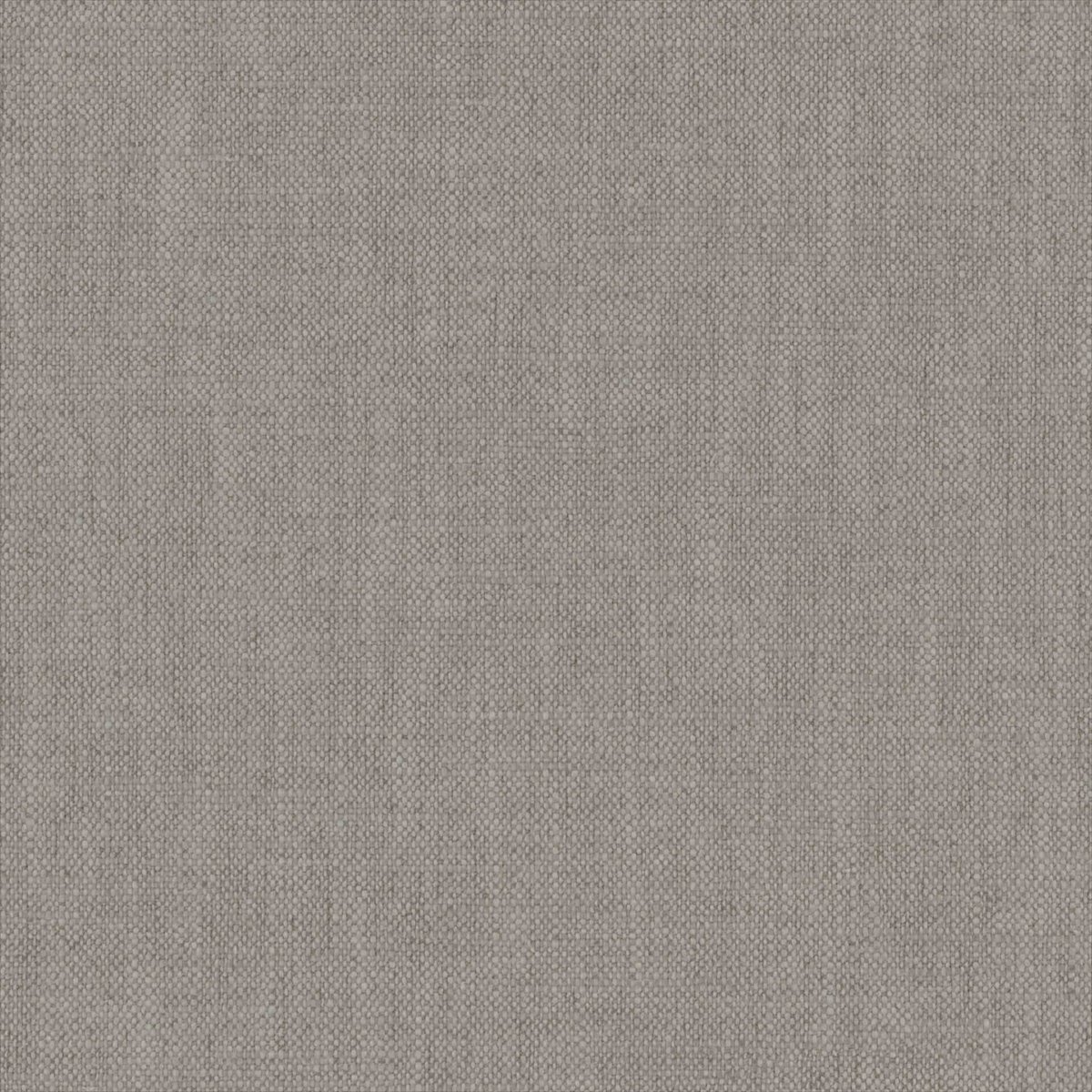 Parker Gris