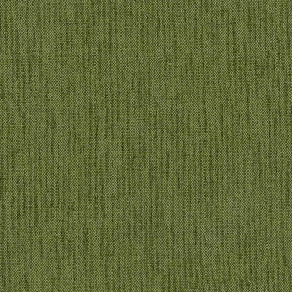 Parker Kermit