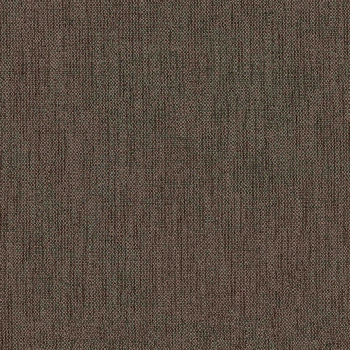 Parker Mocha