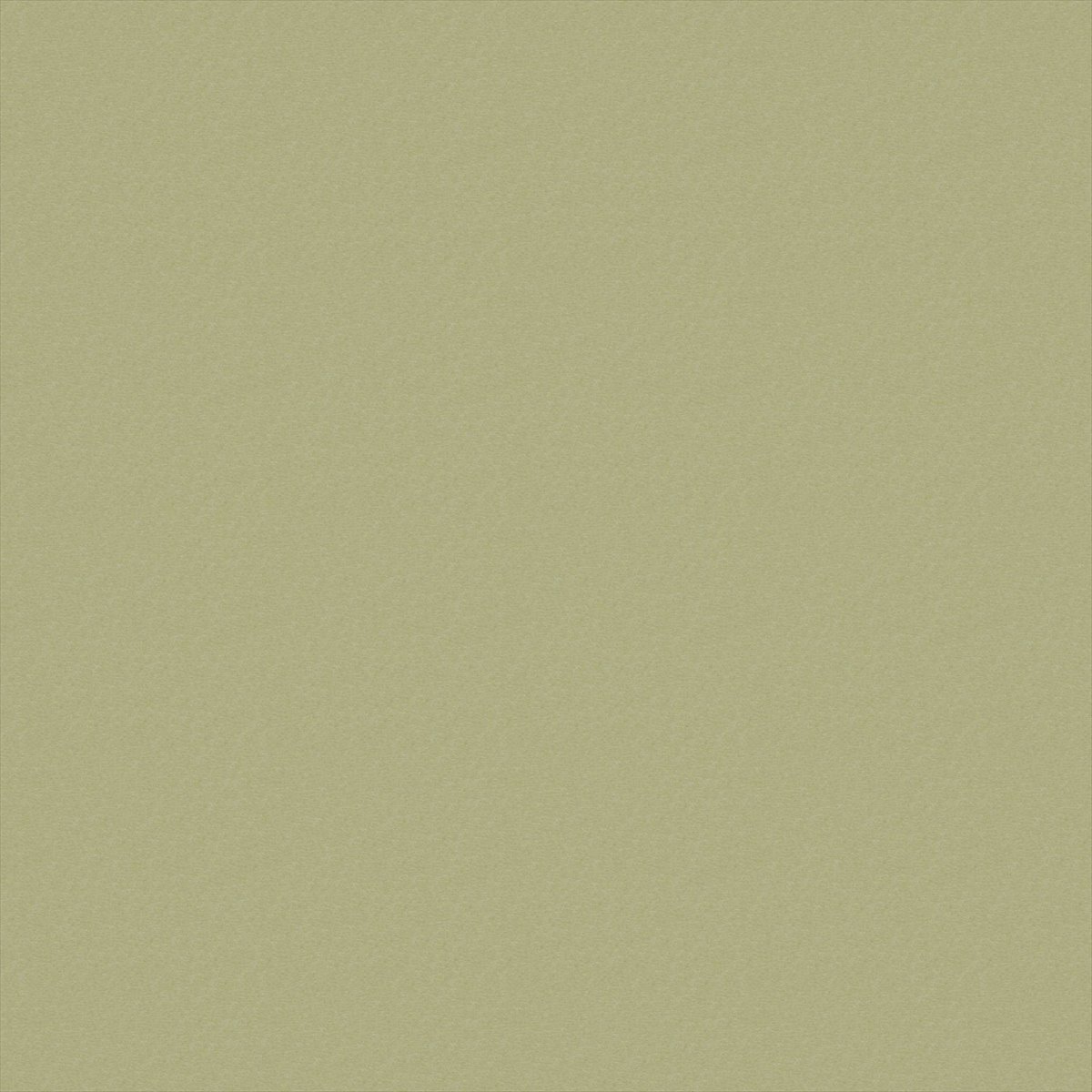Shuteye Sandstone