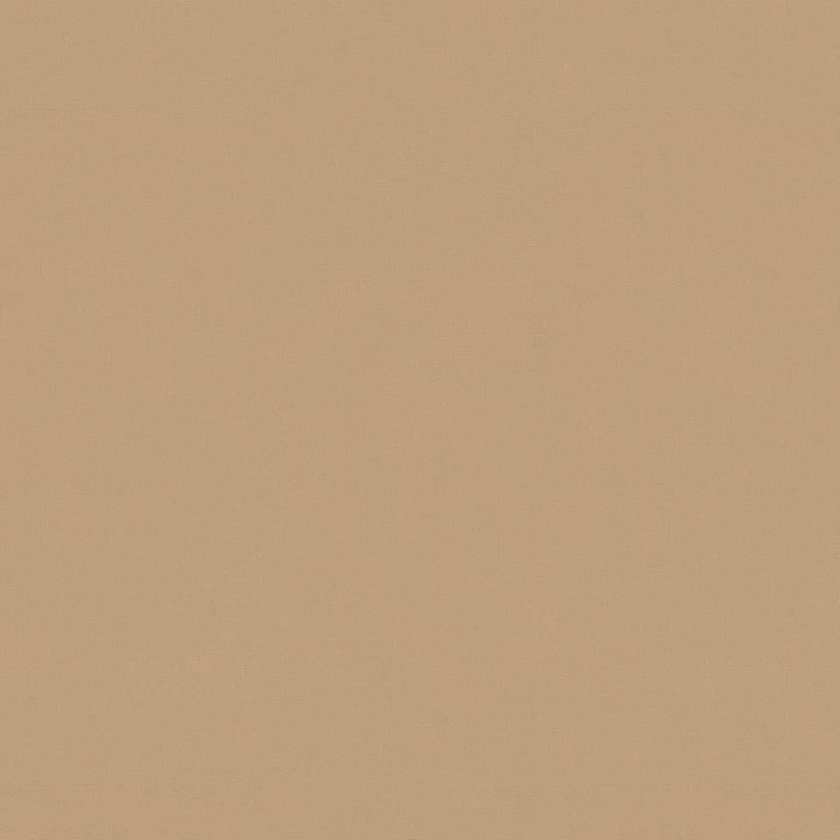Solaire Camel