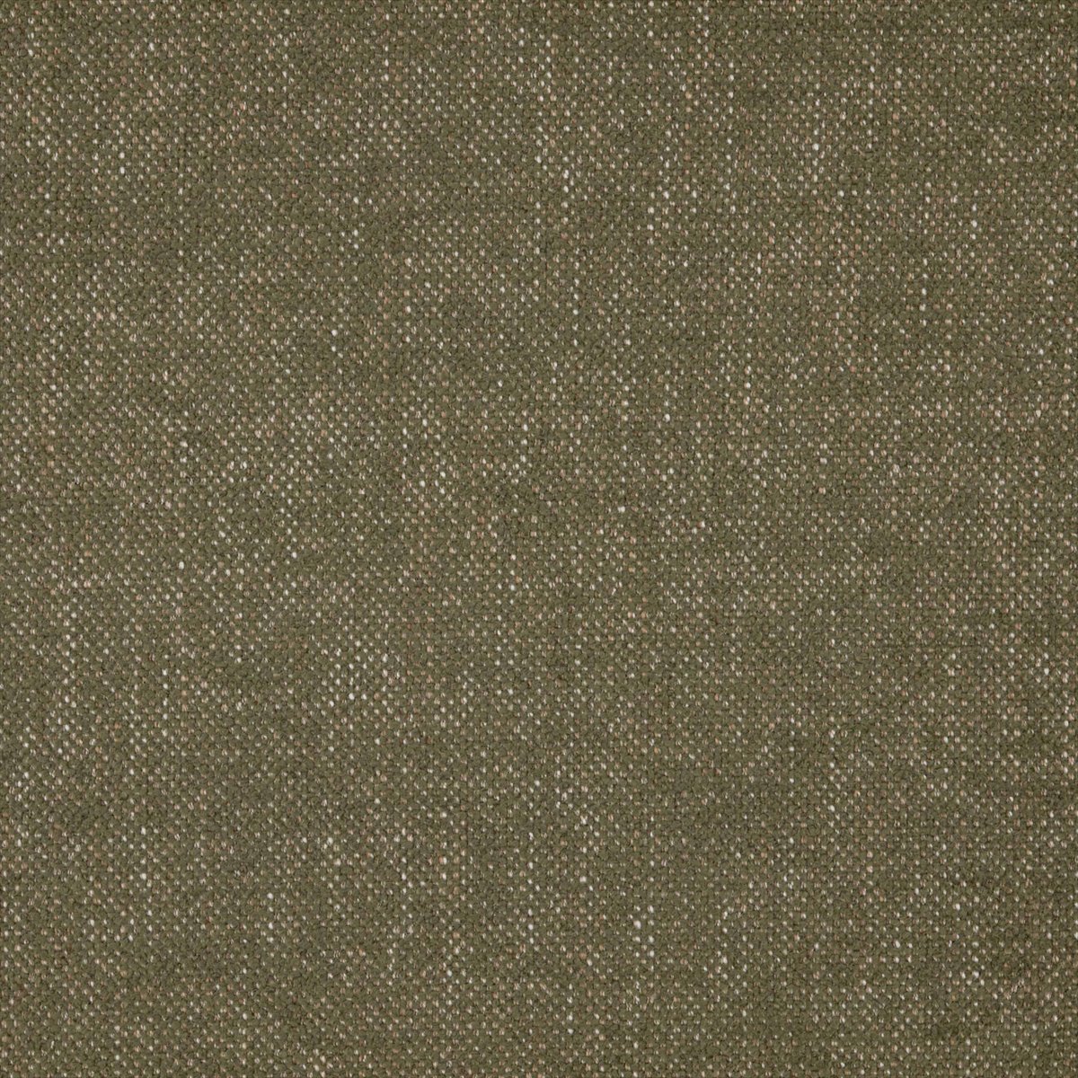 Verona Moss