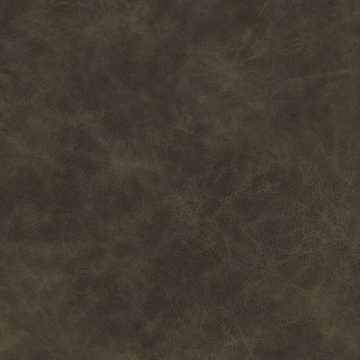 Yellowstone Khaki